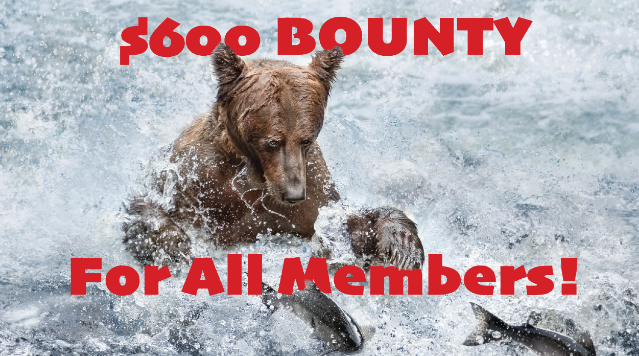 November Bounty headline with image of a bear fishing for salmon